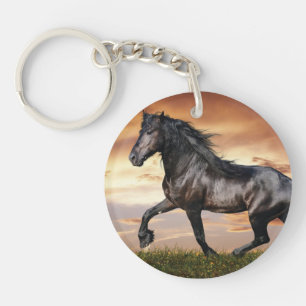 Vacker Black Horse