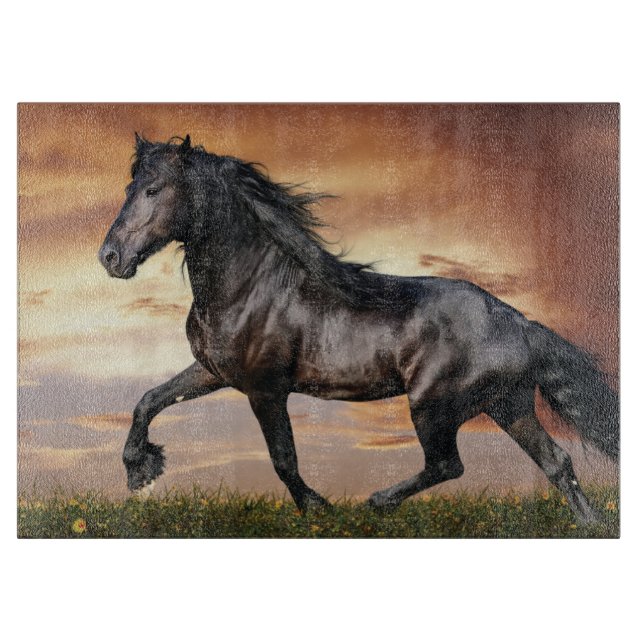 Vacker Black Horse (Framsidan)