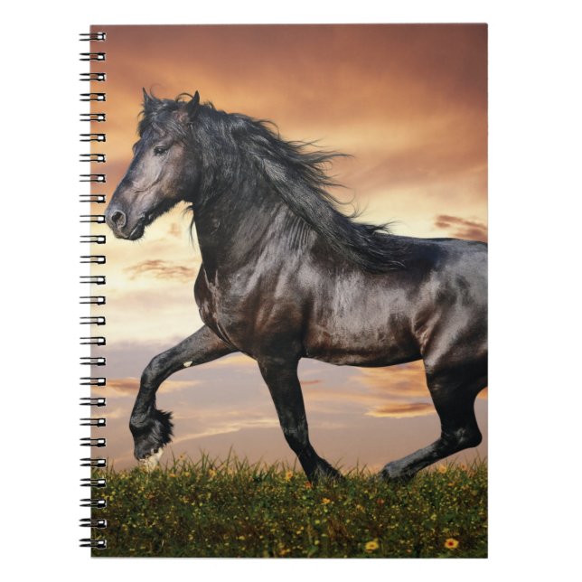 Vacker Black Horse Anteckningsbok (Framsidan)