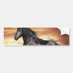 Vacker Black Horse Bildekal