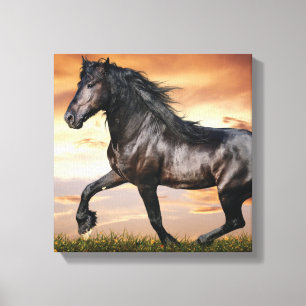 Vacker Black Horse Canvastryck