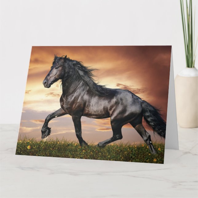Vacker Black Horse Kort (Framsida)