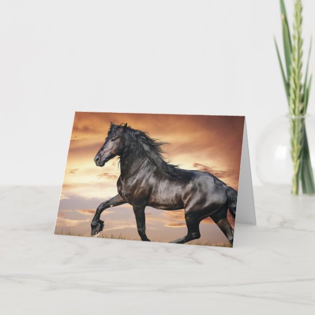 Vacker Black Horse Kort (Framsida)