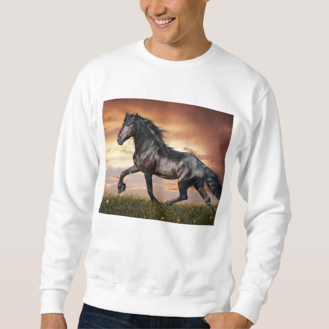 Vacker Black Horse Lång Ärmad Tröja (Framsida)