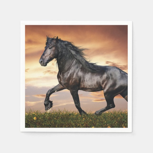 Vacker Black Horse Pappersservett (Framsidan)