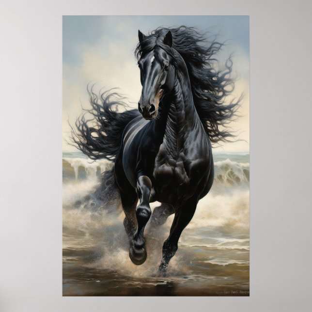 Vacker Black Horse Poster (Framsidan)