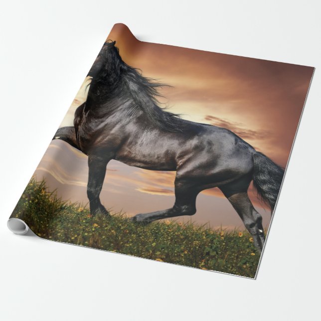Vacker Black Horse Presentpapper (Utrullad)
