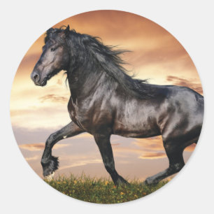 Vacker Black Horse Runt Klistermärke