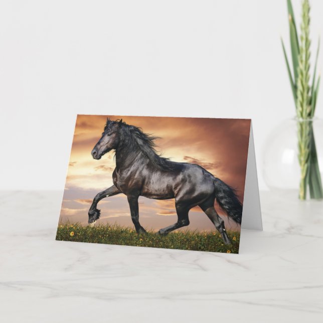 Vacker Black Horse Tack Kort (Framsida)