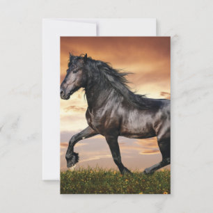 Vacker Black Horse Tack Kort