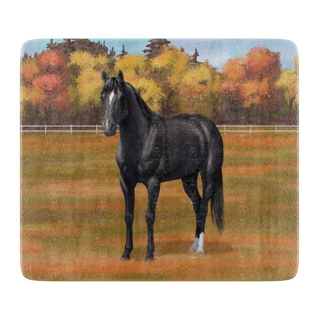 Vacker Black Quarter Horse Stallion (Framsidan)