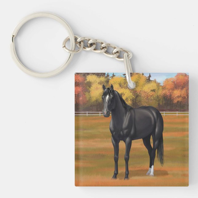 Vacker Black Quarter Horse Stallion (Framsidan)