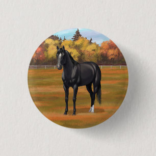 Vacker Black Quarter Horse Stallion Knapp