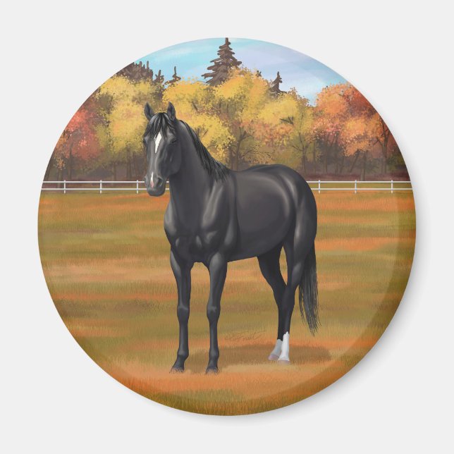 Vacker Black Quarter Horse Stallion Magnet (Framsidan)