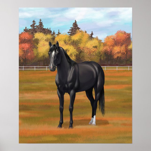 Vacker Black Quarter Horse Stallion Poster (Framsidan)