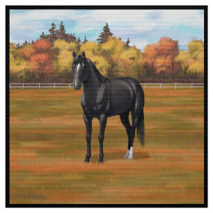 Vacker Black Quarter Horse Stallion Tyg