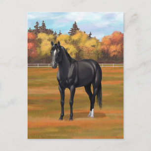 Vacker Black Quarter Horse Stallion Vykort