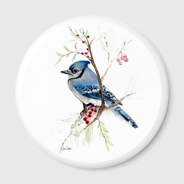 Vacker Blåskrika Akvarell Magnet (Beautiful Blue Jay Watercolor Magnet by Jenn Steffen Art.)