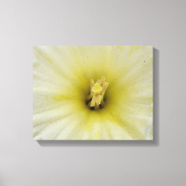 Vacker blek Narcissduktryck på canvas (Framsida)