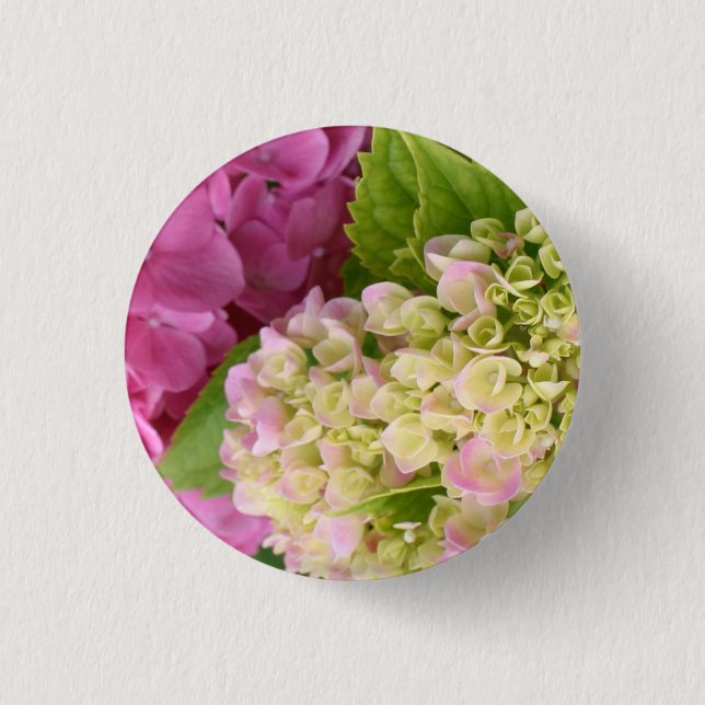 Vacker blodgivning Rosa och vita Hydrangeas Knapp (Framsida)