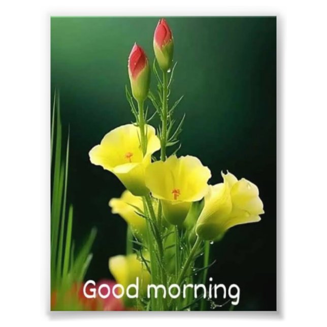 vacker blombild fototryck (Framsidan)