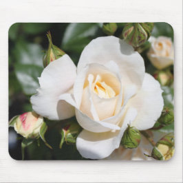 vacker blomma från vit ros, kärlek och romantik musmatta