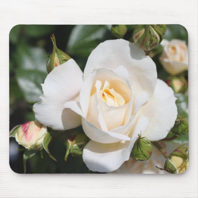 vacker blomma från vit ros, kärlek och romantik musmatta (Framsidan)