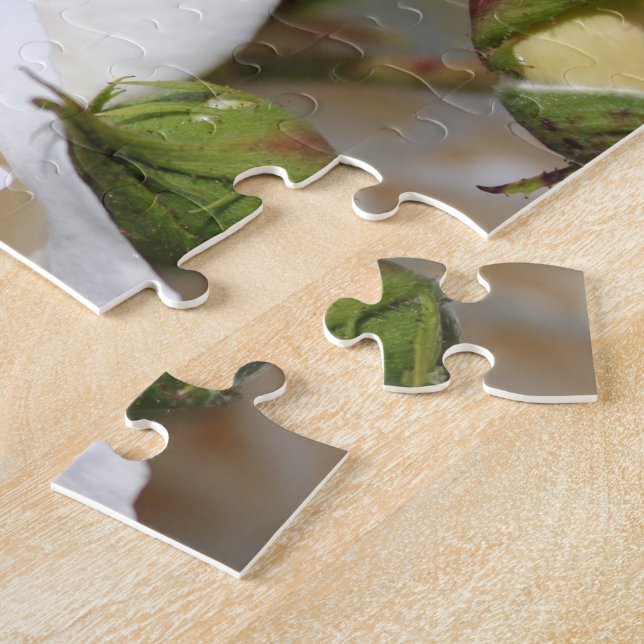 vacker blomma från vit ros, kärlek och romantik pussel (Sidan)