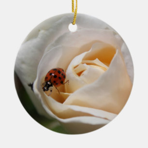vacker blomma och ladybug från vit ros julgransprydnad keramik