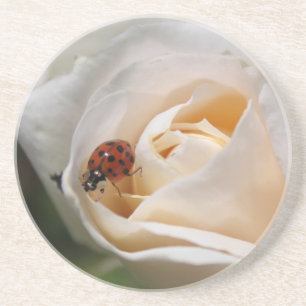 vacker blomma och ladybug från vit ros underlägg sandsten