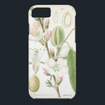 Vacker blommigt vintage blommantik botaniskt<br><div class="desc">Vacker botaniskt blommigt i vintage - Fransk av antika blommor teckning Tuff iPhone 6 fodral-hölje.</div>