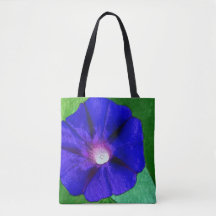 Vacker blomster