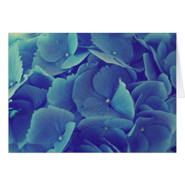 Vacker Blue Hydrangea Hälsningskort (Framsidan Horizontal)