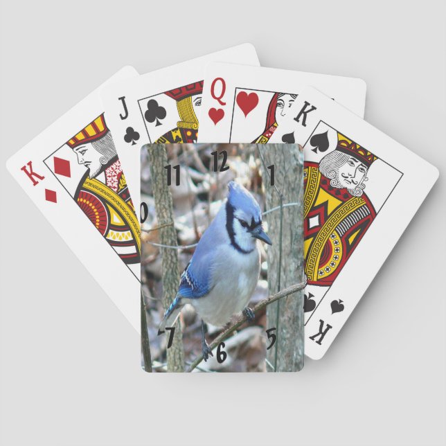 Vacker Blue Jay Casinokort (Baksidan)