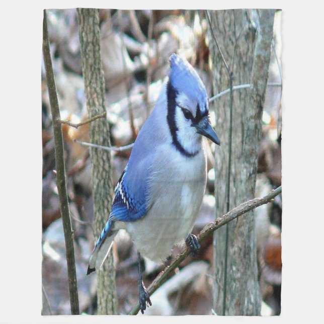 Vacker Blue Jay Fleecefilt (Framsidan)