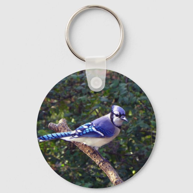 Vacker Blue Jay Nyckelring (Framsida)
