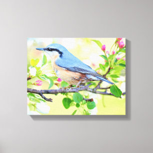 Vacker Blue Jay på Gren i Berries Canvastryck