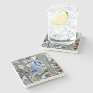 Vacker Blue Jay Stenunderlägg