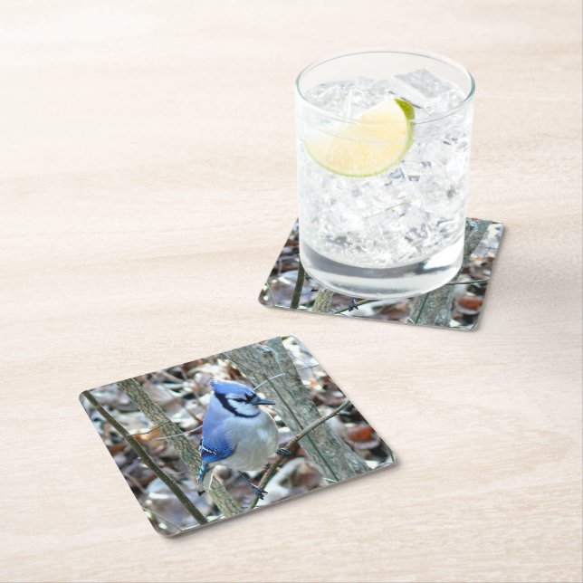 Vacker Blue Jay Underlägg Papper Kvadrat (Insitu)