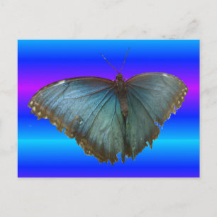 Vacker Blue Morpho Butterfly DIY-vykort Vykort