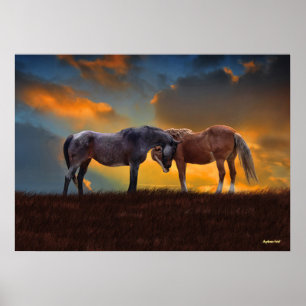 Vacker Blue Roan and Palomino Horses Sunset Poster