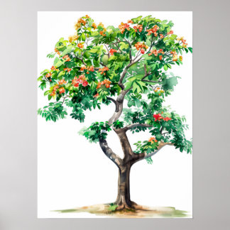 Vacker Bombax Ceiba Träd Watercolor Poster