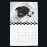 Vacker Border Collie Hund Kalender<br><div class="desc">Denna vackra Border Collie Hund Kalender har söta foton som får dig att le genom hela året. En perfekt nyårsgåva till alla hundälskare. Exklusiva bilder från Zazzle ©</div>