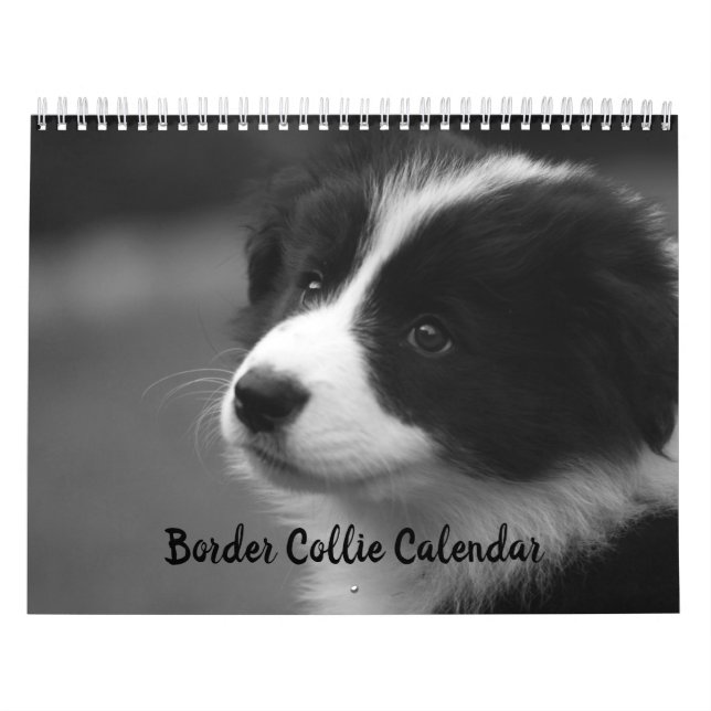 Vacker Border Collie Hund Kalender (Omslag)