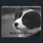 Vacker Border Collie Hundkalender Kalender<br><div class="desc">Den perfekta presenten i jul för alla som älskar border collie hundar. Kalender med vackra foton av en border collie genom hela året för att ge en leende på någons ansikte månad efter månad. Alla bilder exklusiva för Zazzle ©</div>