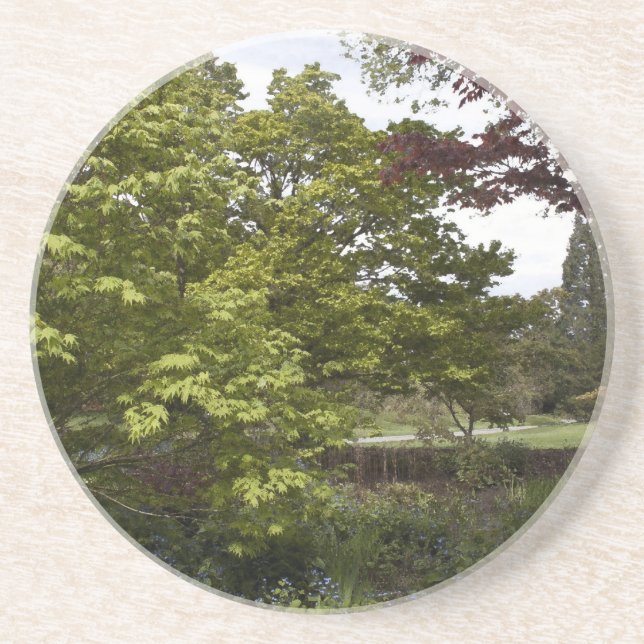 Vacker botanisk trädgård. underlägg (Framsidan)