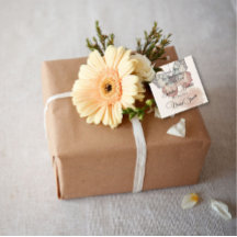 Vacker Bröllopsfest för Fjärilsbrud - Tacksamhet