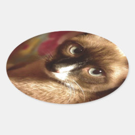 Vacker Brown Cat Ovalt Klistermärke