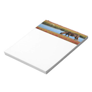 Vacker Brown Horse Anteckningsblock
