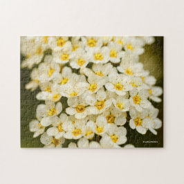 Vacker Brudspira Spiraea Pussel
